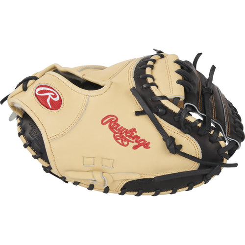 Baseball catchers glove online